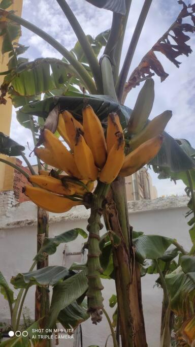 4 - Acogedora Habitacion Junto A Ruzafa Con Bano Privado Y Aire Acondicionado Valencia Buitenkant foto
